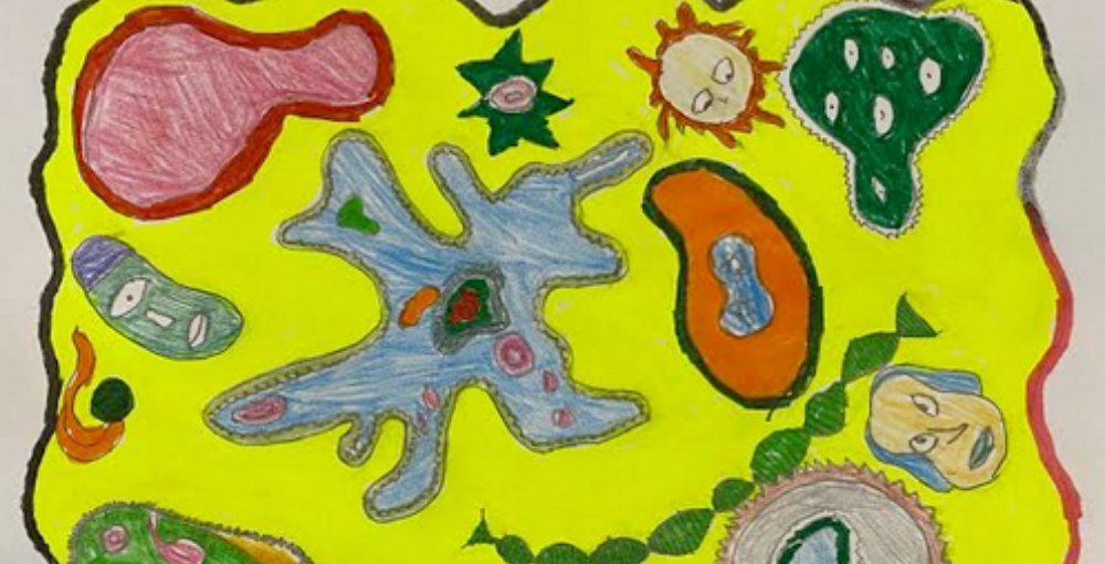 The Syracuse Academy of Science fifth grade Atoms draw inspiration from Japanese Contemporary Artist, Yayoi Kusama when creating their own amoeba dot art.