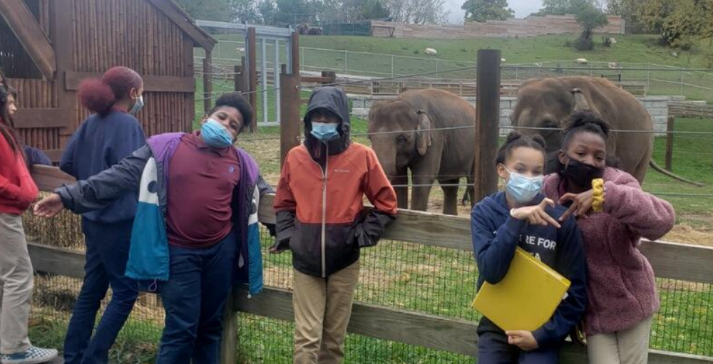 Syracuse Academy of Science 6th grade students learned about Asian Elephants during their field trip to the Rosamond Gifford Zoo.